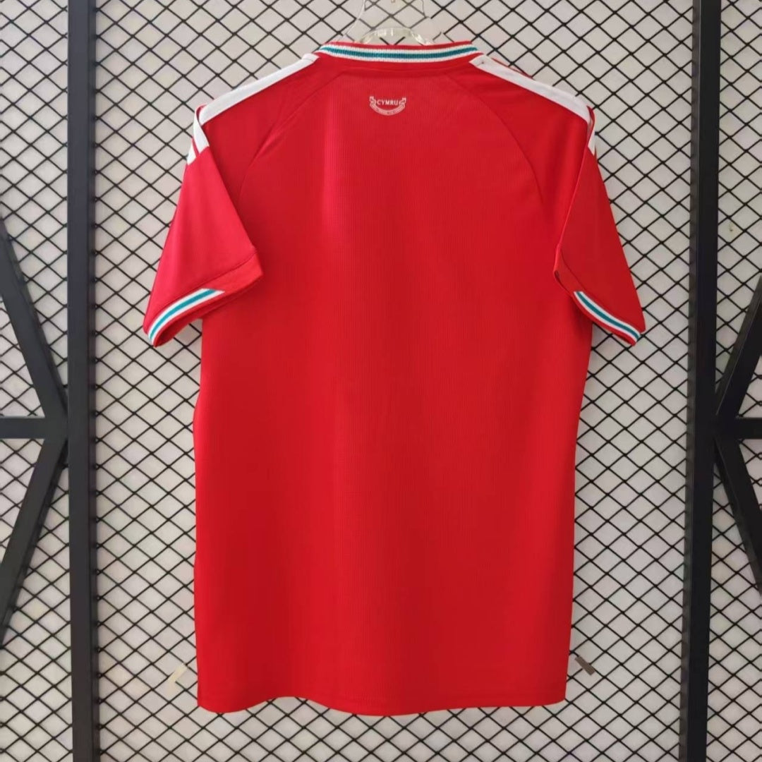 Maillot 25/26 Pays de Galles Domicile
