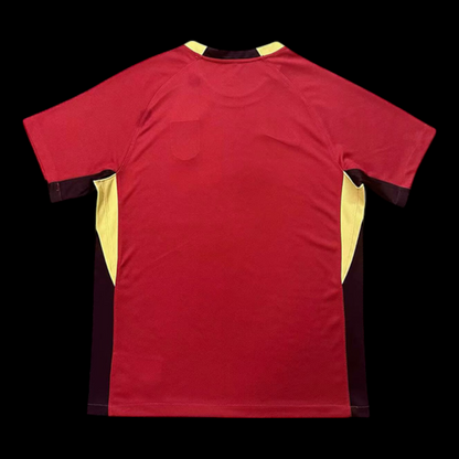 Maillot 25/26 Chine Domicile