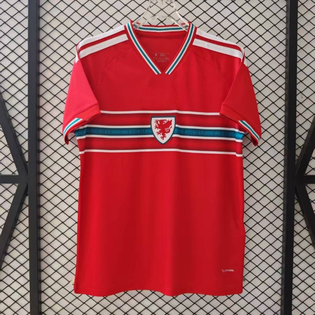 Maillot 25/26 Pays de Galles Domicile