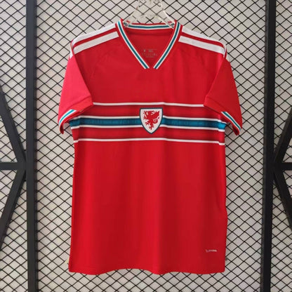 Maillot 25/26 Pays de Galles Domicile