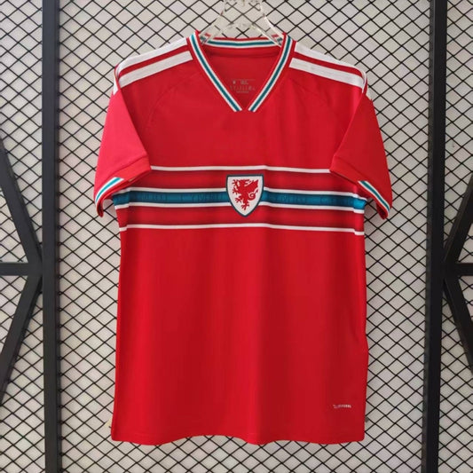 Maillot 25/26 Pays de Galles Domicile