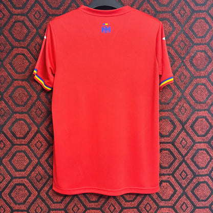 Maillot 24/25 Roumanie Extérieur